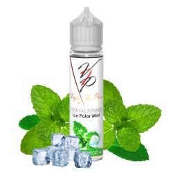 Ice Polar Mint Vaping In Paris 50ml.